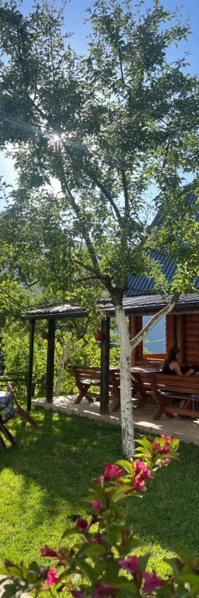 Guest House Kollata，位于Vusanje的酒店