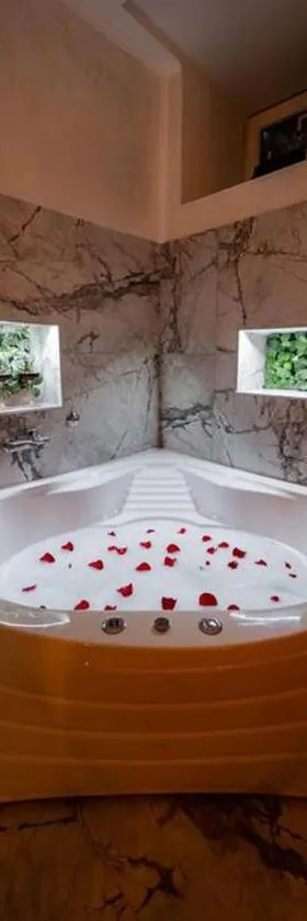 Lisa Zemun Spa Apartment，位于Zemun的酒店