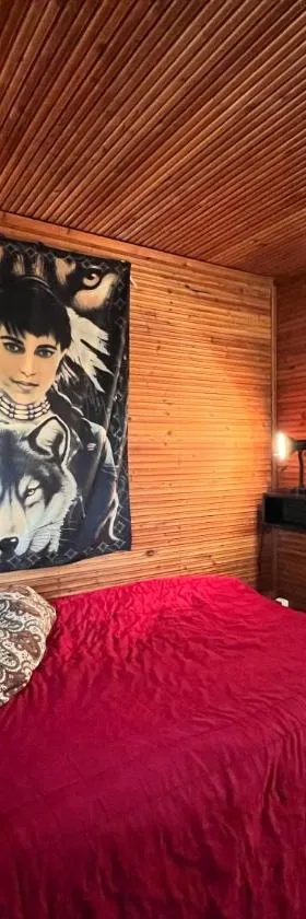 Retro Rustic Cabin，位于Numminen的酒店