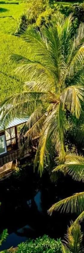 ต้งโฮมสเตย์ กลางทุ่งนา Local Homestay and View，位于南府的酒店