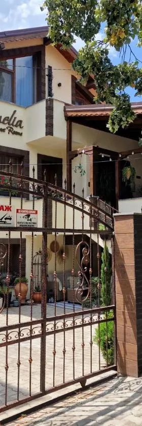 Kamelia guest rooms，位于卡赞勒克的酒店