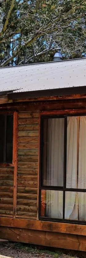 Cabin 1 - Snowy Accommodation，位于阿达米纳比的酒店
