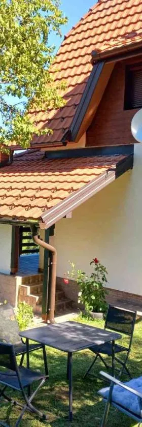 TARA Vila Rajak，位于Zaovine的酒店