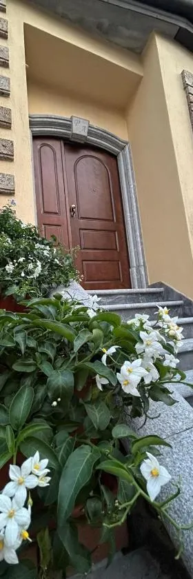 Bed and Breakfast Il Cacciatore，位于莫尔曼诺的酒店