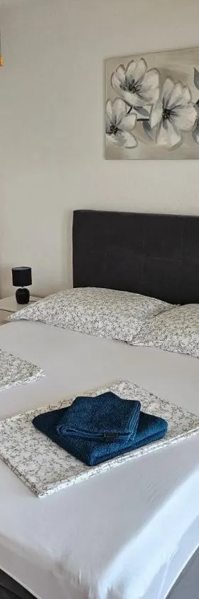 Apartment Ivan，位于特里班的酒店
