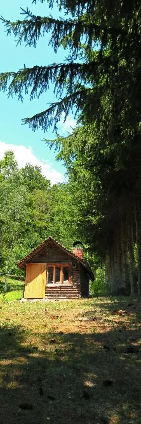 Planinska kuća Palačinka，位于代斯波托瓦茨的酒店
