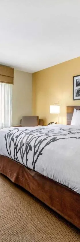Sleep Inn & Suites Lincoln University Area，位于林垦的酒店