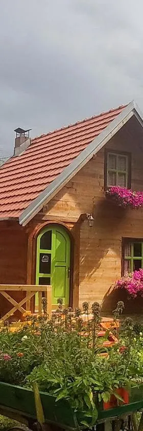 Apartments Vila Selena - Golija，位于Rudno的酒店