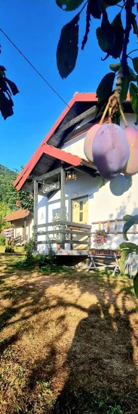 Kosta's romantic house，位于普拉夫的酒店