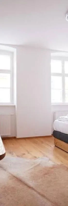 Authentic Austrian Flat in the South of Vienna，位于默德林的酒店