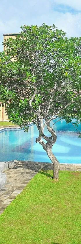 The Long Beach Resort & Spa，位于肯克拉的酒店