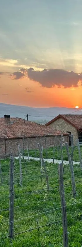 Vineyard Cottages，位于Khidistʼavi的酒店