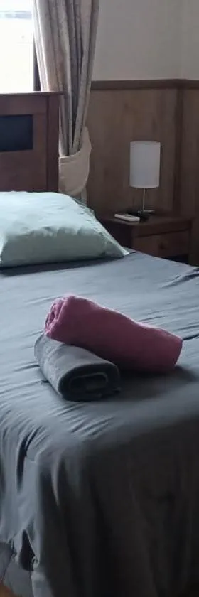Hotel Centrico 734，位于瓦尔迪维亚的酒店