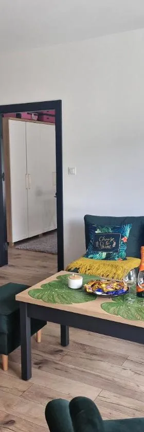 Apartament Słoneczny Taras nad Baryczą，位于米利奇的酒店