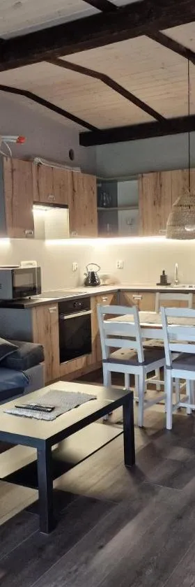 Apartament Sosny 2,3 nad jeziorem OTW Borówno Wielkie，位于Skarszewy的酒店