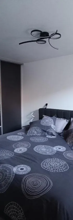 Superbe appartement F3 situé au centre ville，位于拉沙里泰的酒店