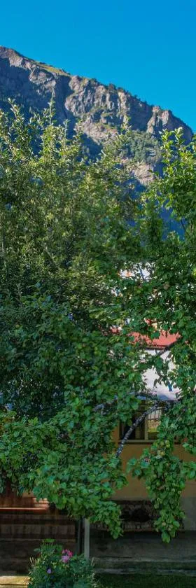 Givi Kakhiani's Guesthouse，位于Zhabeshi的酒店