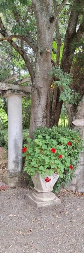 Les jardins du Canal，位于Sainte-Eulalie的酒店