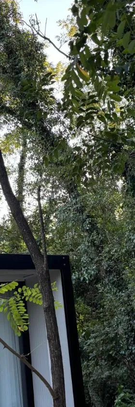 Frutak Resort-TINY HOMES，位于Danilovgrad的酒店