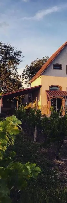 Ubytování ve vinném sklepě - Velké Bílovice，位于大比洛维采的酒店