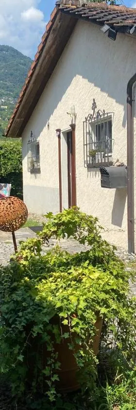mini Haus mit Pergola -NL-00000196，位于泰内罗的酒店