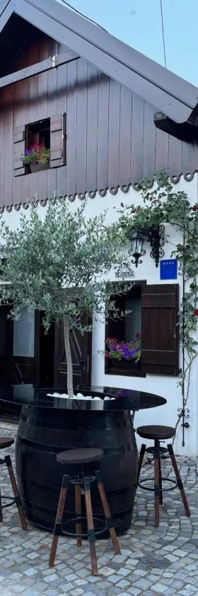 Studio apartman & Wine House ONDINE，位于Zmajevac的酒店
