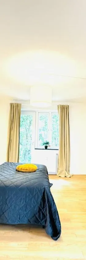 aday - Solsortvej Suite 3 Randers，位于兰讷斯的酒店