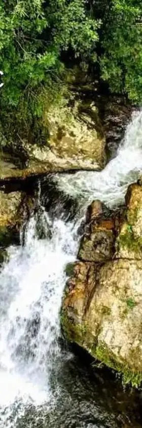 Suíte com cachoeira no quintal，位于Antônio Carlos的酒店