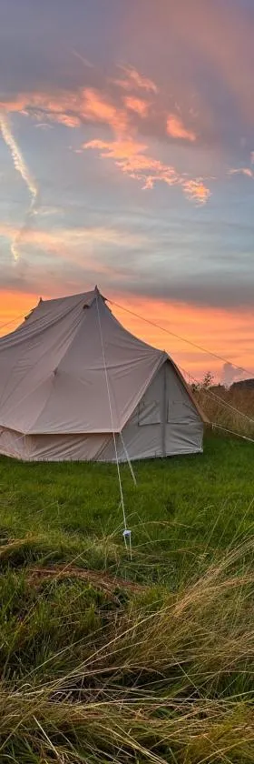 Big tent with real beds and ocean view，位于斯泰厄的酒店