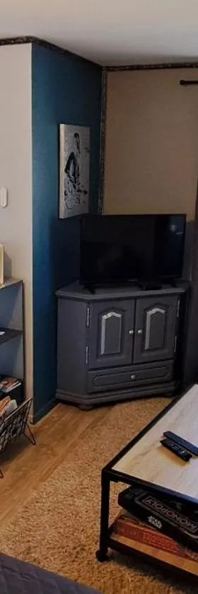 Appartement "Les Calins"，位于Ney的酒店