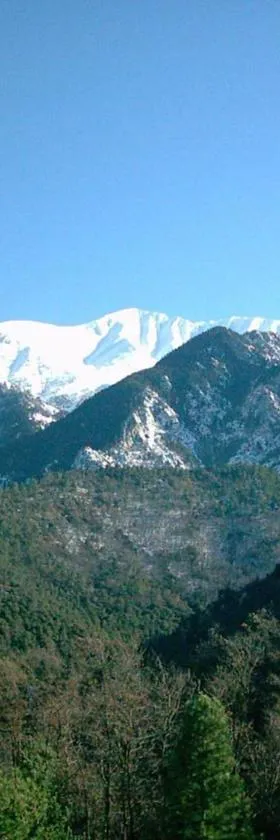 F1 Massif du Canigou，位于韦尔内莱班的酒店