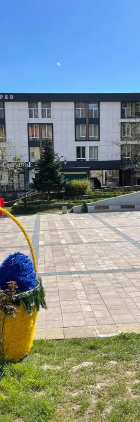 诗特利卡洛夫酒店，位于卡尔洛沃的酒店