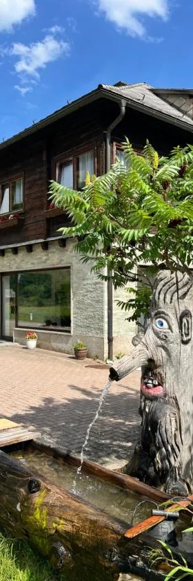Casa Ema Austria，位于Ramingstein的酒店