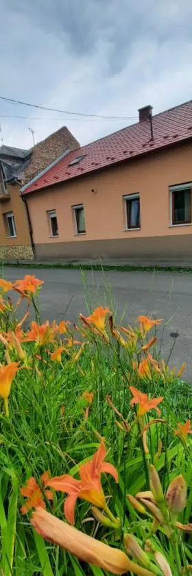 Kis Rigó vendégház，位于绍尔戈陶尔扬的酒店