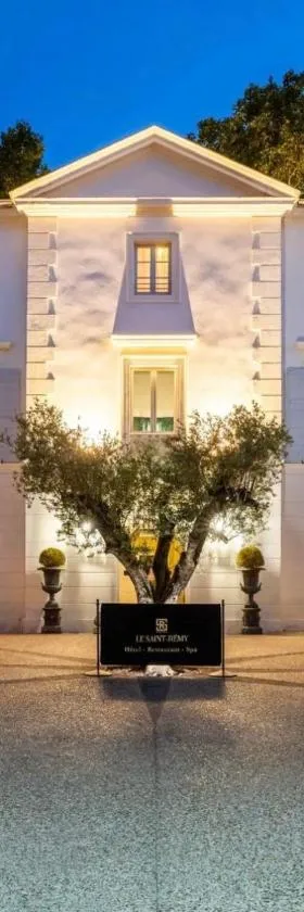 Hôtel Le Saint Remy & Spa，位于圣雷米普罗旺斯的酒店