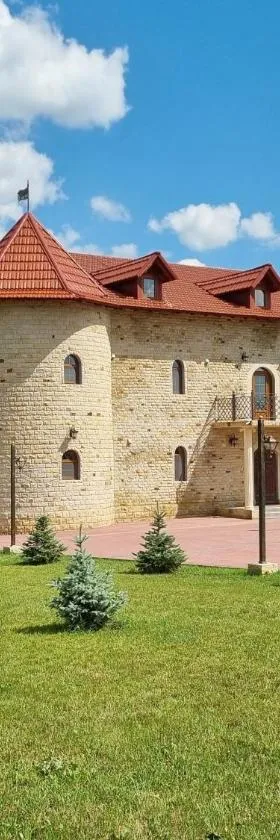 Castel Unghern，位于Ivancea的酒店