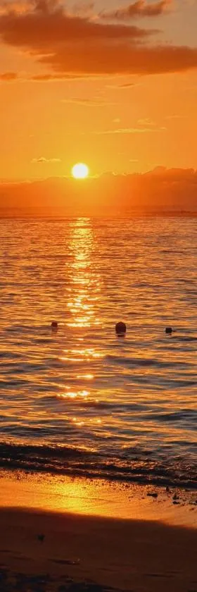 Sunsetview Beach Apartment，位于Palmyre的酒店