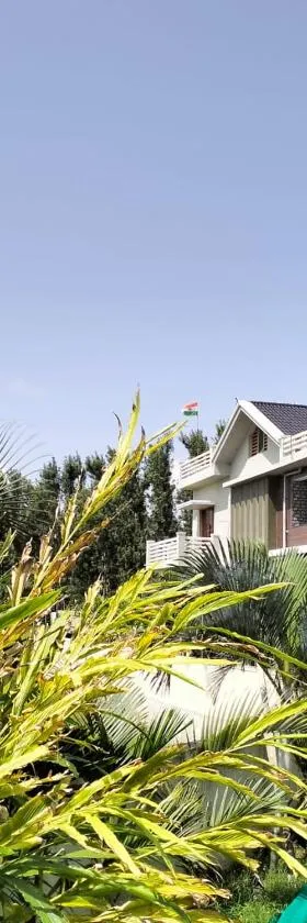 The Grassland homestay，位于奇克马格尔的酒店