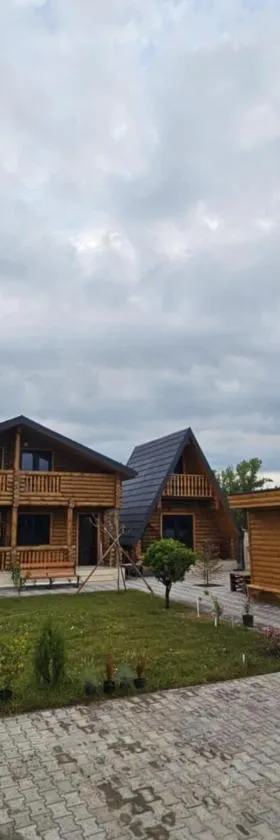Eco House Bazaleti Lake N2，位于Dushetʼi的酒店