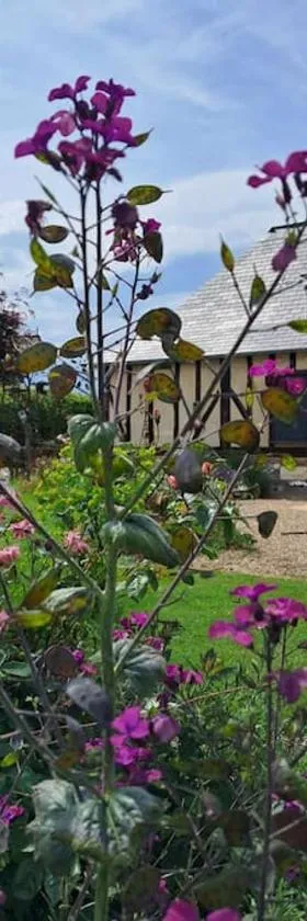 Maison typique normande- Le Gite du chat bleu，位于Illeville-sur-Montfort的酒店