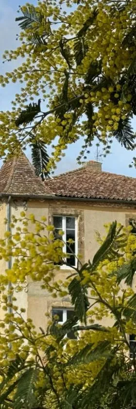 Château de Mauhic - 15th century，位于Loubédat的酒店