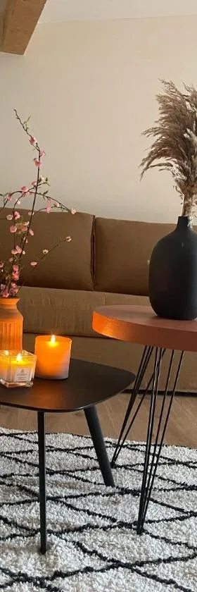 Studio Cosy，位于Castanet-Tolosan的酒店
