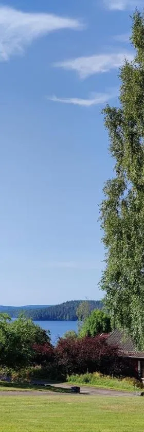 Brunnsvik Hotell & Konferens，位于卢德维卡的酒店