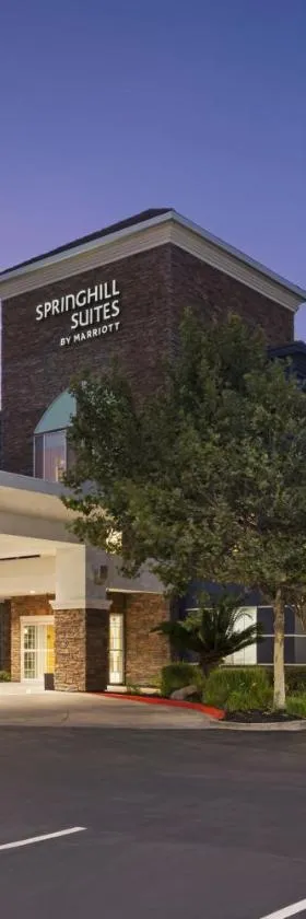 SpringHill Suites by Marriott Turlock，位于特洛克的酒店