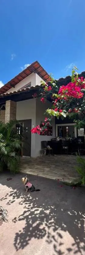 Chalé Bananeiras à 800m da Arena Bananeiras，位于巴纳内拉斯的酒店