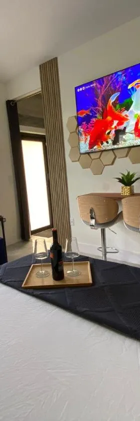 Tropical Studio，位于迈阿密的酒店