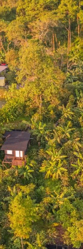Hotel La Palma y El Tucán - Café y Naturaleza，位于Zipacón的酒店