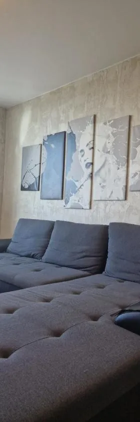 Centro apartamentai，位于陶拉格的酒店