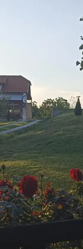 Stari Tršić，位于Tršić的酒店