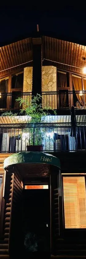 The Grand Hotel Bakuriani，位于巴库里阿尼的酒店